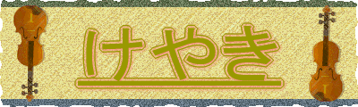 ₫