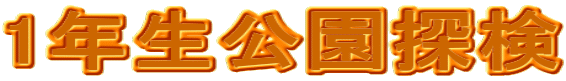 1NT