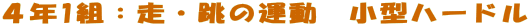 �S�N1�g�F���E���̉^���@���^�n�[�h��