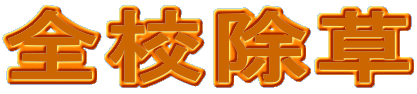 �S�Z����