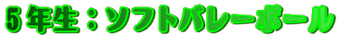 �T�N���F�\�t�g�o���[�{�[��