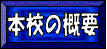 {Z̊Tv