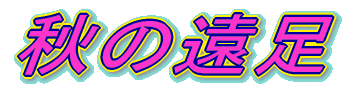 �H�̉���