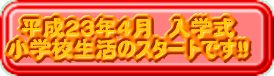�����Q�R�N�S���@���w�� ���w�Z�����̃X�^�[�g�ł�!! 